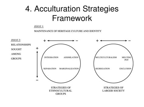 How many strategies are there in acculturation