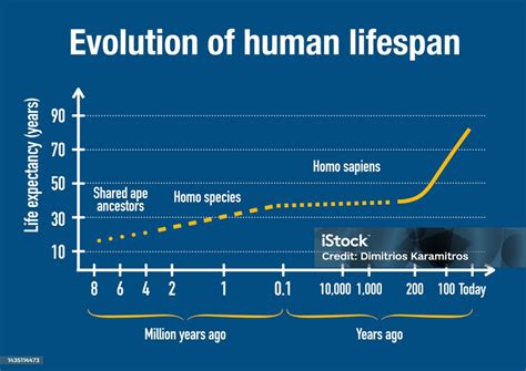How much can human lifespan be extended