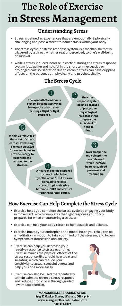 How much does exercise reduce stress