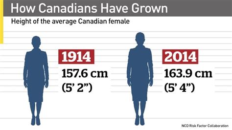 How tall is the average Canadian