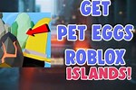 How to Get Pet Eggs in Islands Roblox