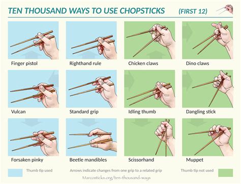 Hold Chopsticks