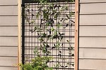 How to Make a Wire Trellis for Plants