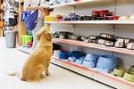 How to Shop Dog