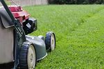How to Start a Lawn Care Business as a Minor