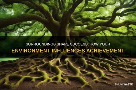 How your environment affects your success
