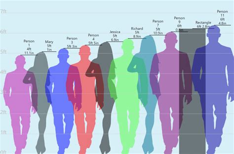 Human Size Comparison