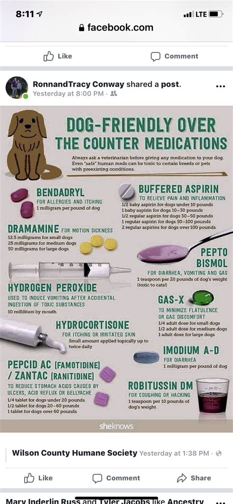 Hydrogen Peroxide Dose For Dogs Chart