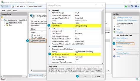 IIS Advanced Settings