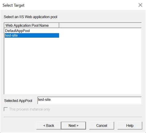 IIS Application Pool Crash