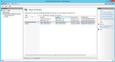 IIS Manager Assign Certificate