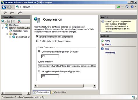 IIS Manager Compression Settings
