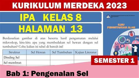 IPA Kelas 8