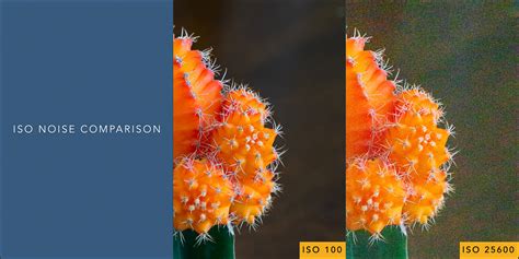 ISO Noise Comparison