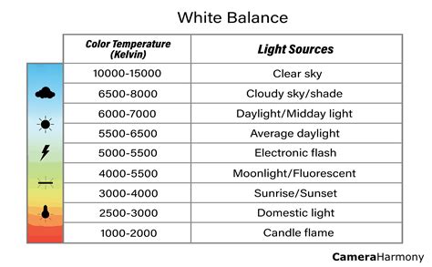 ISO dan white balance