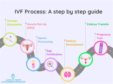 IVF Process Steps