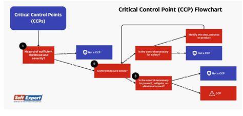 Identifying Critical Control Points in QCP