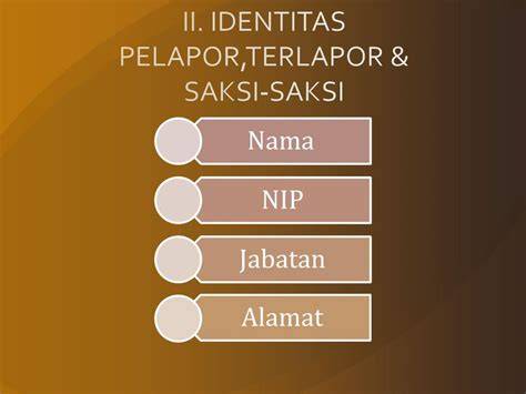 Identitas Pelapor