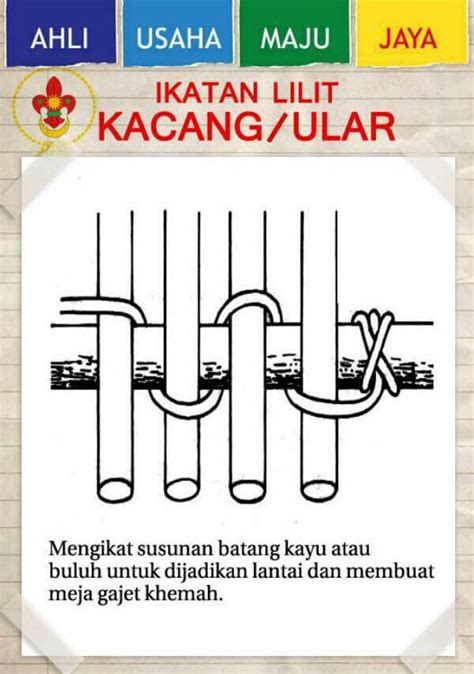 Ikatan Ular
