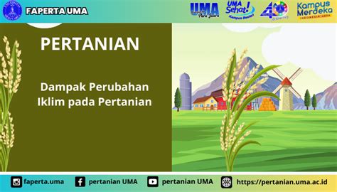 Ketergantungan pada Iklim di Sektor Pertanian