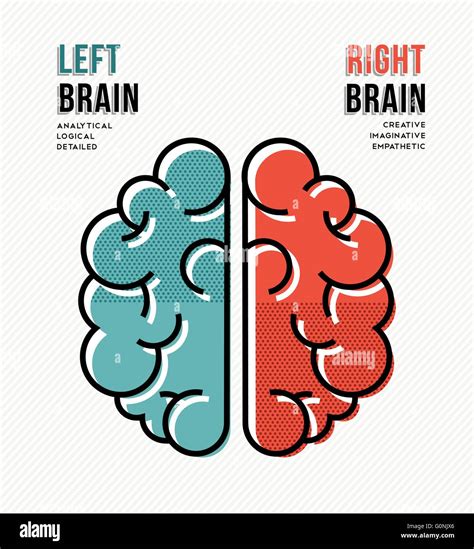 Illustration of brain hemispheres