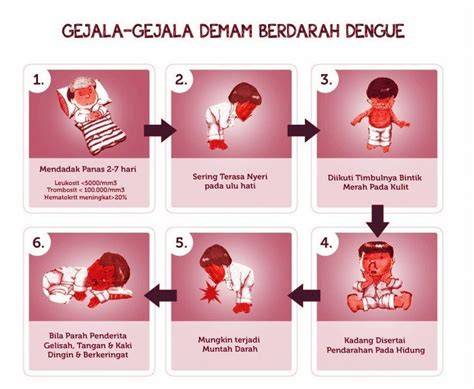 Ilustrasi Gejala DBD