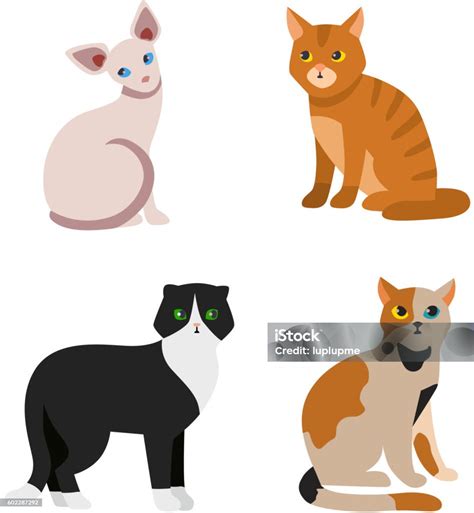 Ilustrasi Kucing Liar
