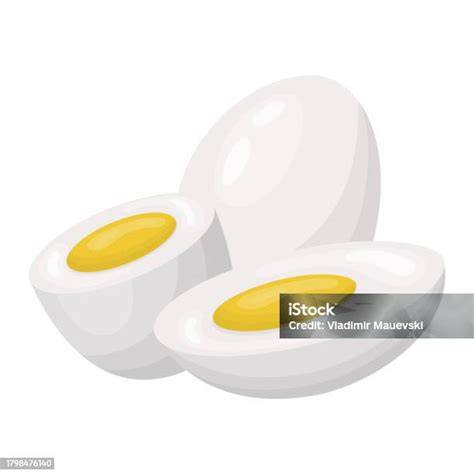 Ilustrasi Telur Rebus