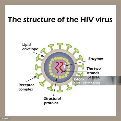 Ilustrasi Virus HIV