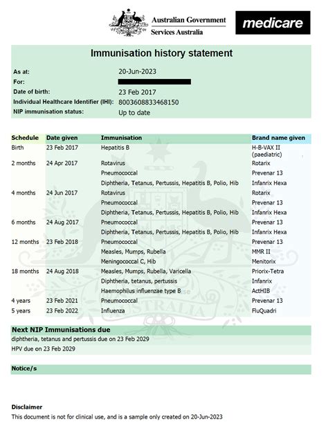 Immunisation Record Template