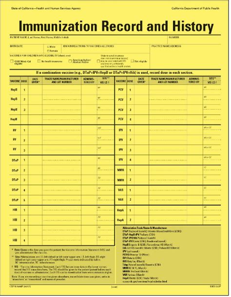 Immunization Record Template