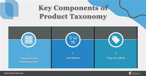 Importance Of Product Taxonomy In Digital Catalogs