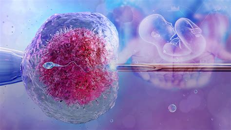 In Vitro Fertilization (IVF)