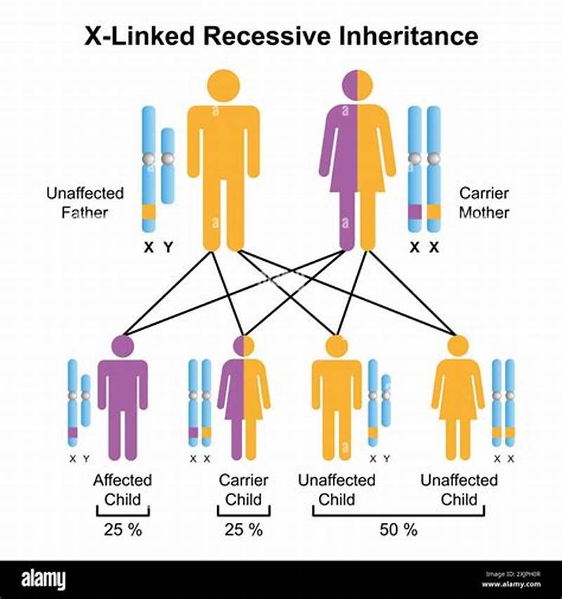 Inheritance Pattern Of X Linked Recessive