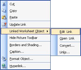 Inserting Multimedia Objects in Microsoft Office Application