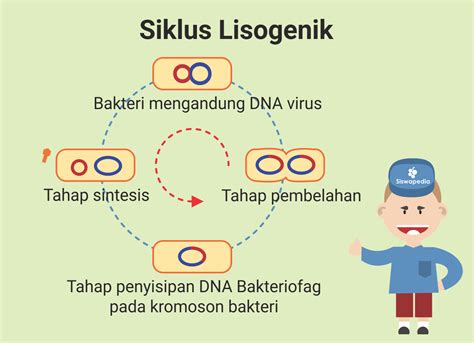 Integrasi siklus lisogenik