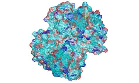 Fakta Menarik Hemoglobin