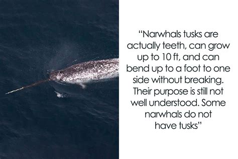 Interesting facts about Gboard