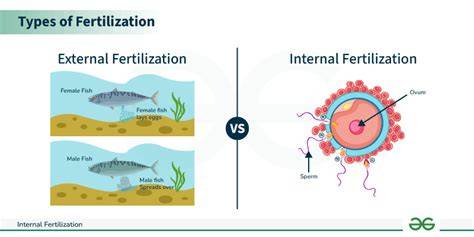 Fertilisasi Internal