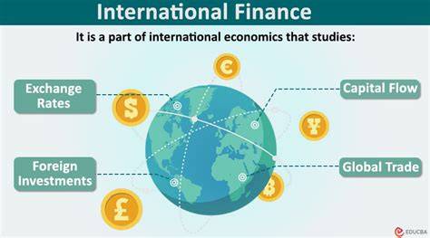 International Financial Systems