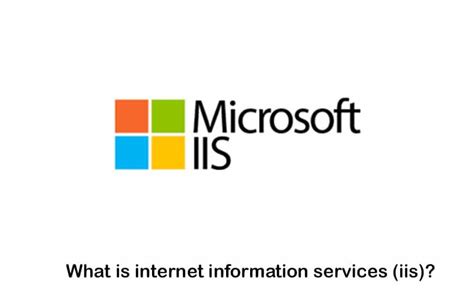 Internet Information Services logo