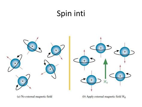 Inti Atom dan Spin