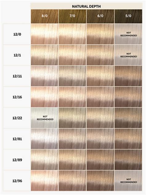 Ion Hi Lift Color Chart