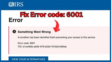 What is IRS Error Code 6001?