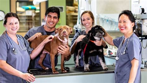 Is Vet Tech A Good Career