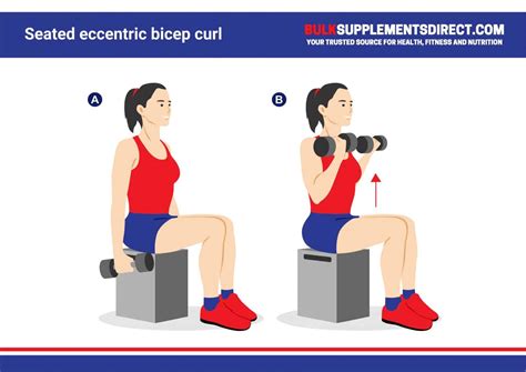 Is a bicep curl eccentric