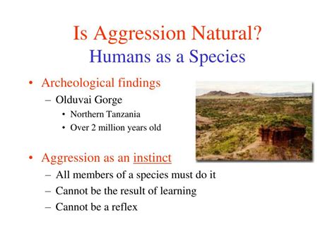 Is aggression a natural Behaviour