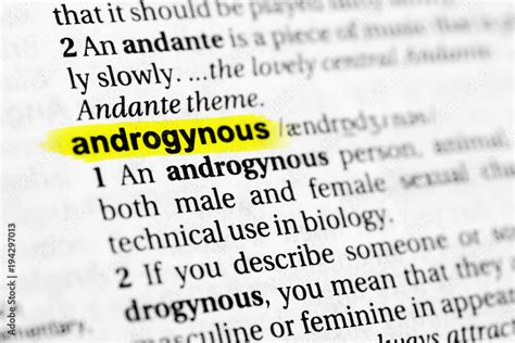 Is androgynous a word
