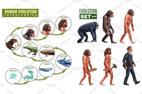 Is evolution taught as a theory