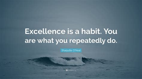 Is excellence a habit